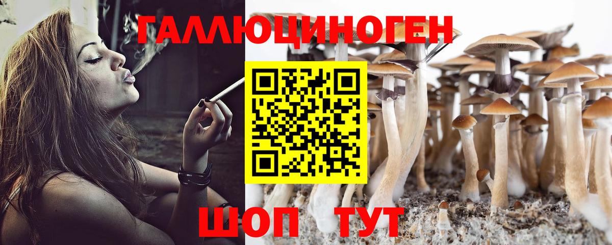 Псилоцибиновые грибы MAGIC MUSHROOMS Озёры